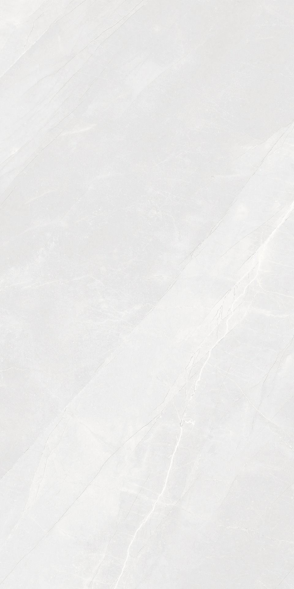 Roma Armani Bianco Matt Carving 60X120
