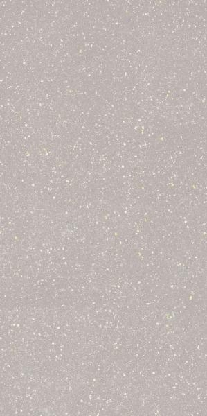 Moondust ( Macroside ) Silver Gres Szkl. Rekt. Polpoler 59,8X119,8