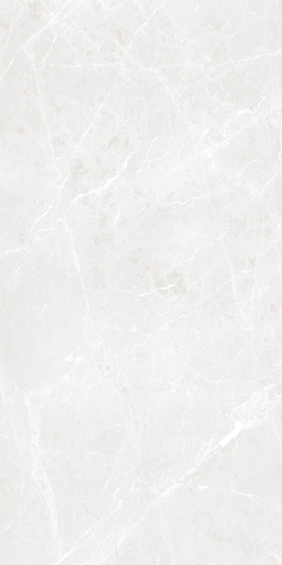 Bari Grey Matt Carving 60X120
