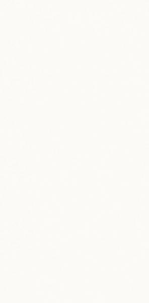 Neve Creative Bianco Sciana Polysk 9,8X19,8