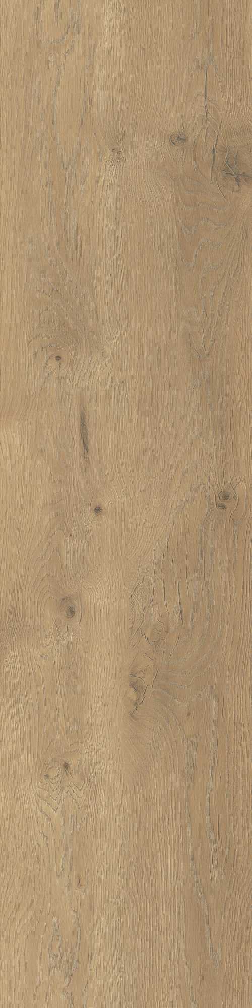 Taiga Honey Gres Szkl. Rekt. 30X120