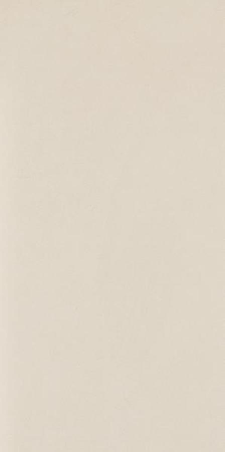 Intero Bianco Gres Rekt. Mat. 29,8X59,8