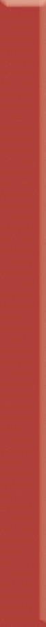 Uniwersalna Listwa Szklana Paradyz Red 3X40