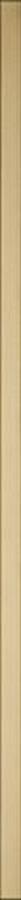 Uniwersalna Listwa Szklana Paradyz Gold 2,3X89,8