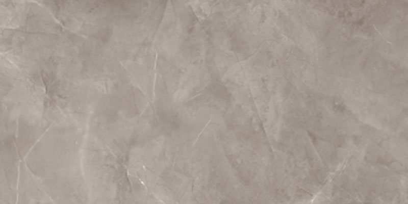 Harmonic Grey Pol 59,8X119,8