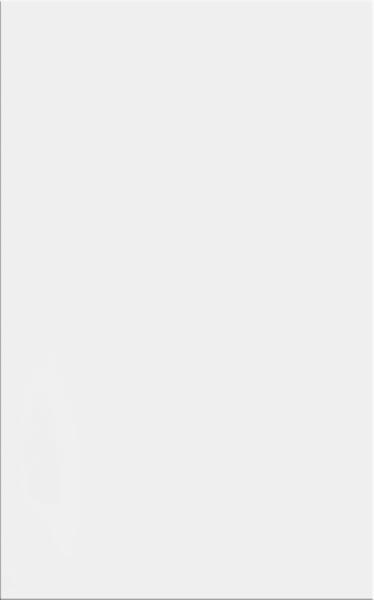 Neve Bianco Sciana Polysk 25X40