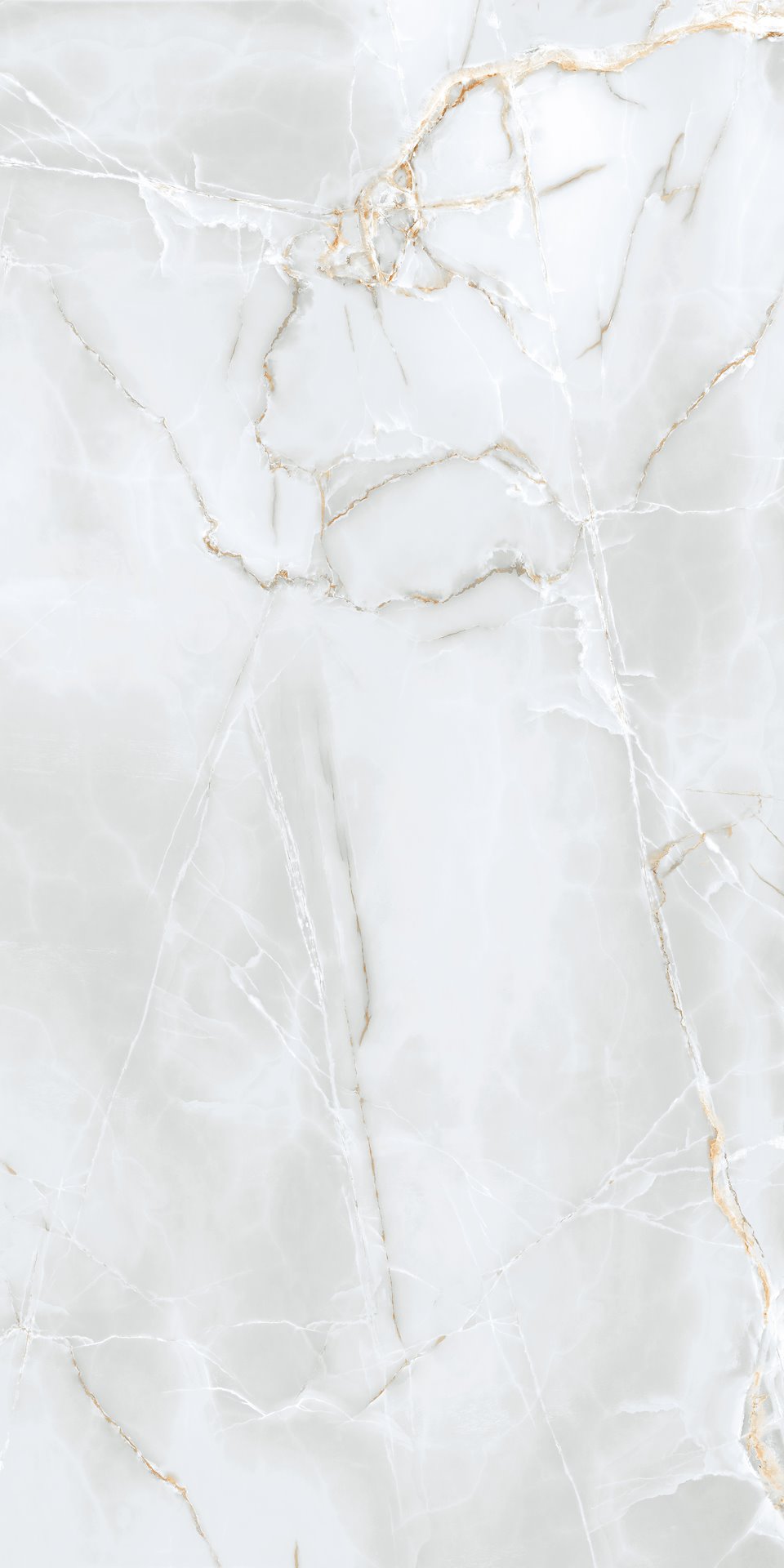 Delicate Light Grey Matt 60X120