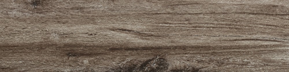 Siena Grigia 15,5X62