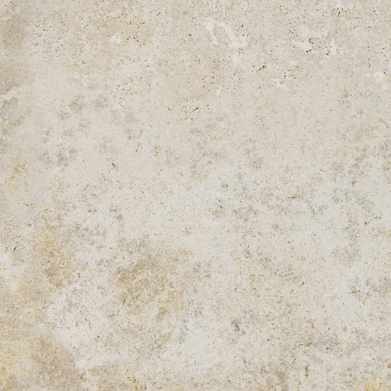Breccia Fara Ivory Str 59,8X59,8