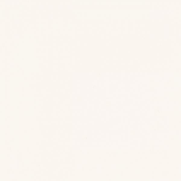 Gamma Bianco Sciana Mat. 19,8X19,8