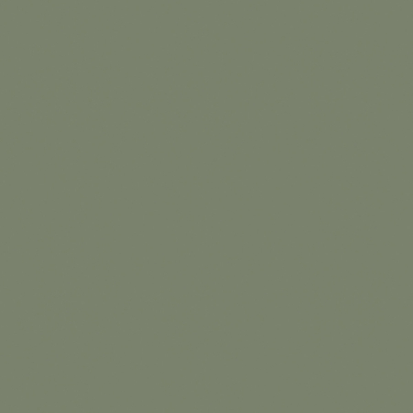 Cielo E Terra Verde Mat 59,8X59,8