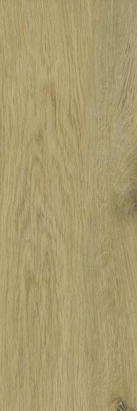 Decorwood Gold Gres Szkl. Struktura Mat. 20X60