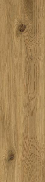 Freeland Gold Stopnica Nacinana Mat. 29,8X119,8