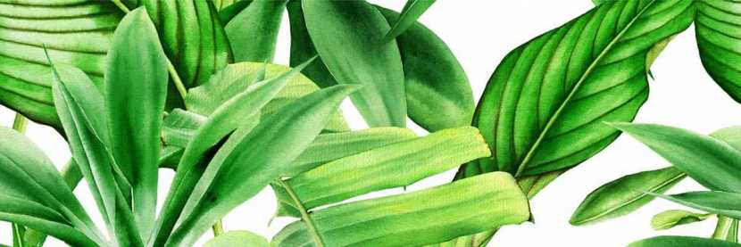 Garden Tropic Dekor A Rett. 25X75
