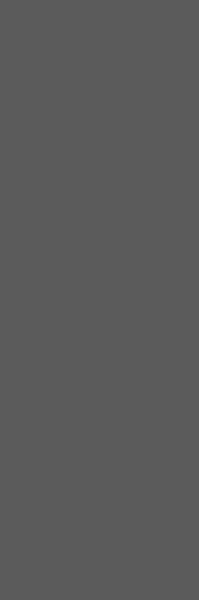 Neve Grafit Sciana Rekt. Mat 29,8X89,8