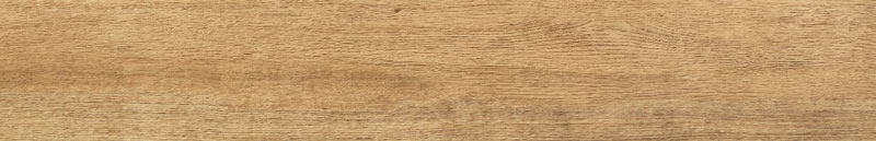 Entina Wood Brown 19X119,8