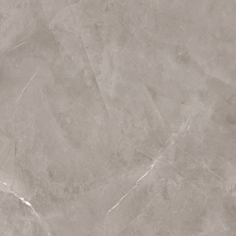Harmonic Grey Pol 59,8X59,8
