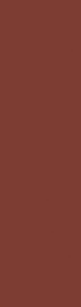 Natural Rosa Elewacja 24,0X6,5